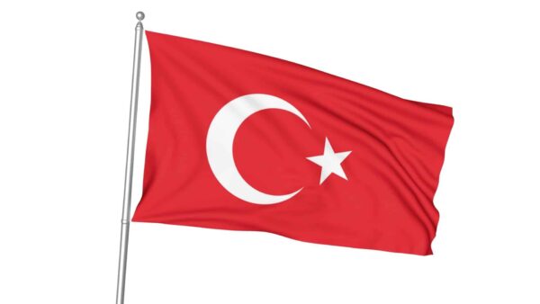 17 Türk Devletleri Gönder Bayrağı Seti - Görsel 11