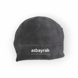 baskili-polar-bere