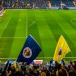fenerbahçe bayrağı ls1