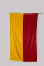 galatasaray bayrağı