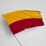 Galatasaray Bayrağı Siparişi